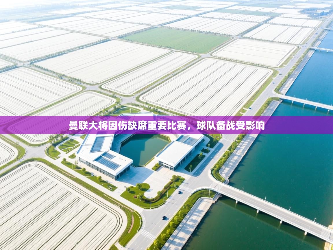 曼联大将因伤缺席重要比赛,球队备战受影响 第1张