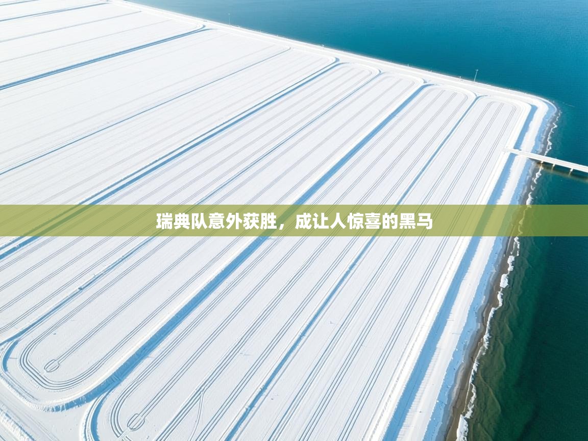 瑞典队意外获胜,成让人惊喜的黑马 第1张