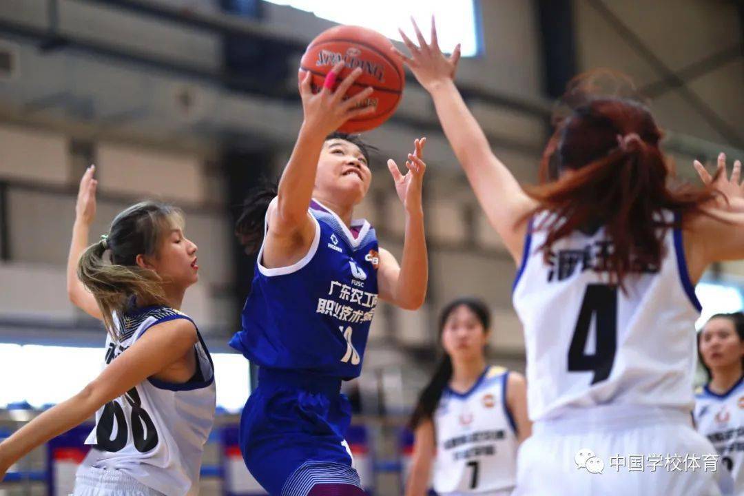 关于女子篮球联赛冠军诞生，决赛场面劲爆刺激的信息