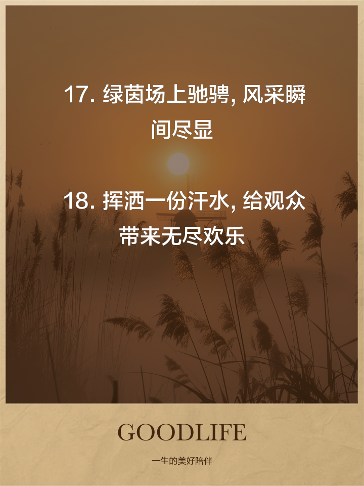 足球场上风云变幻，胜负难料的简单介绍
