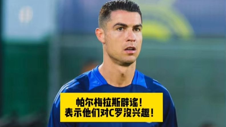 帕尔梅拉斯主教练称赞球队拼搏精神，期待突破的简单介绍